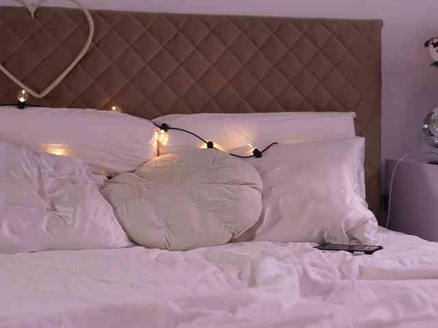 -Anitaraj- webcam