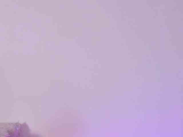 IvonneDuarte webcam