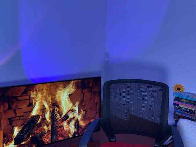 Salomepolaniee webcam