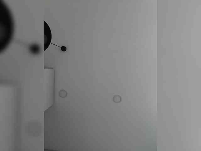 MimiFors webcam