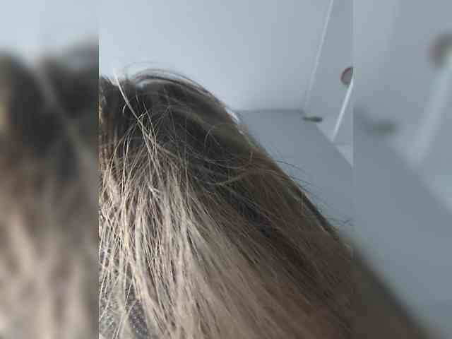 MimiFors webcam