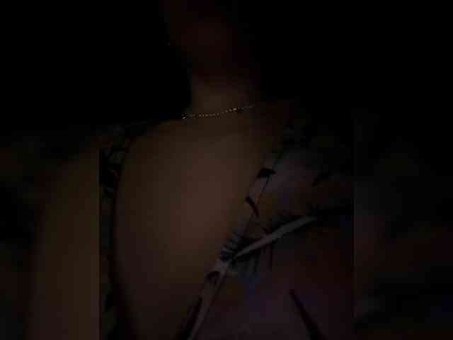 MimiFors webcam