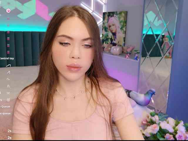 MimiFors webcam