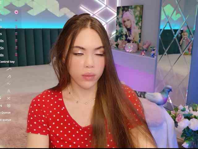 MimiFors webcam