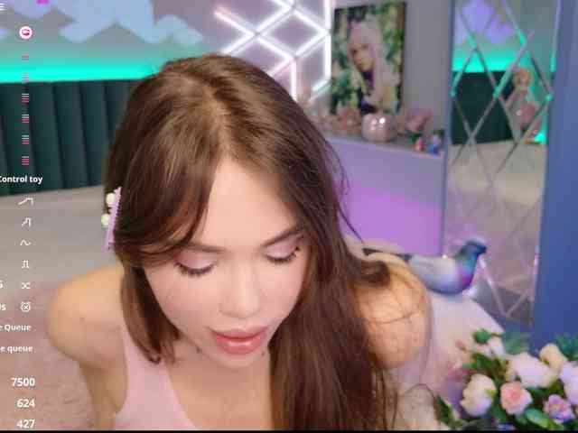 MimiFors webcam
