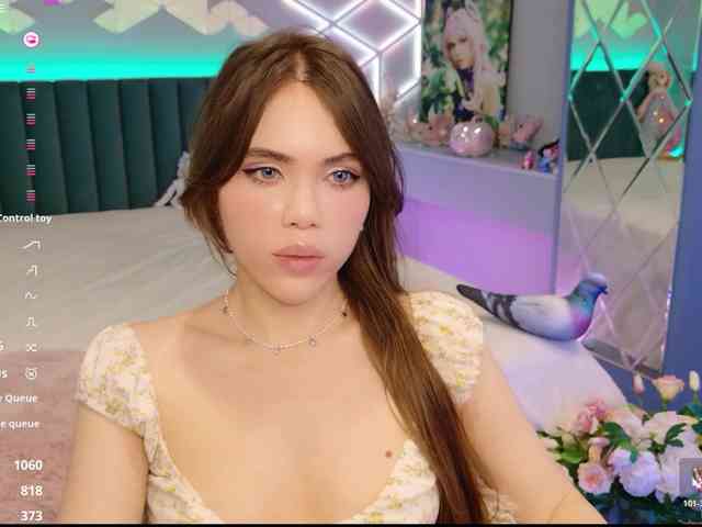 MimiFors webcam