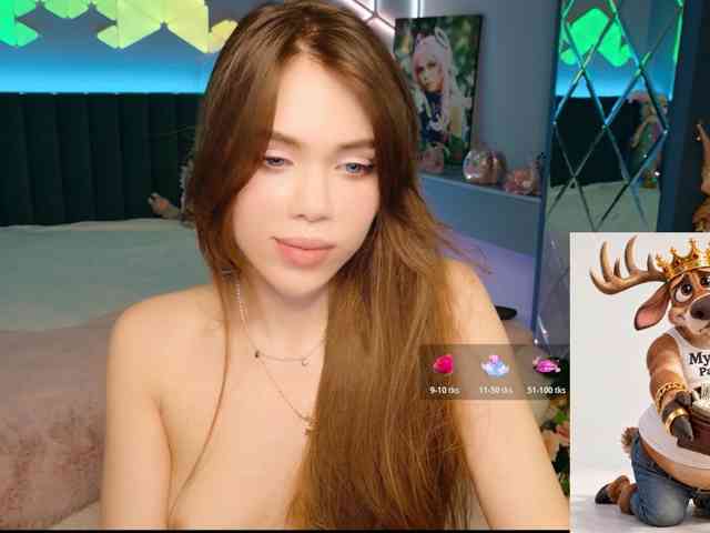 MimiFors webcam
