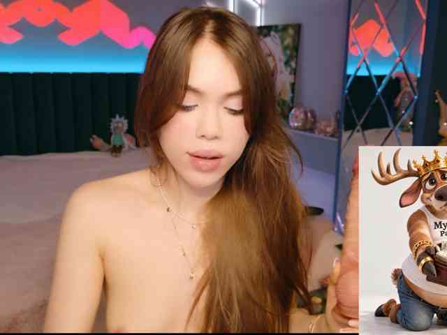 MimiFors webcam