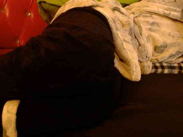 Lucile-Carrie Sex Cam Show