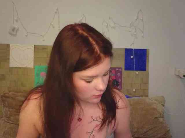 Lasey webcam