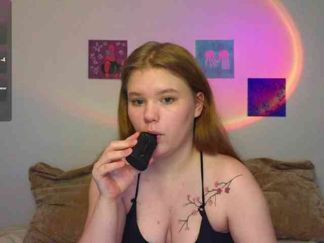 Lasey webcam