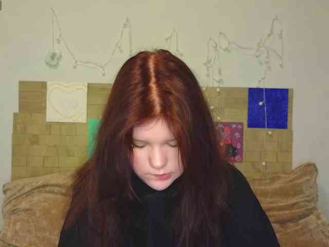 Lasey webcam