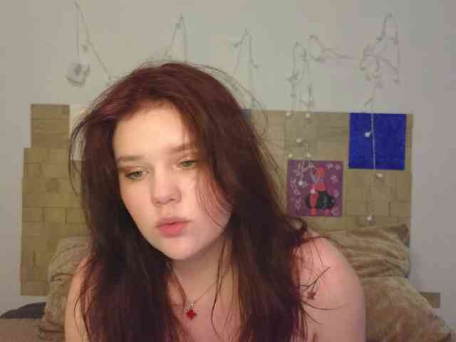 Lasey webcam