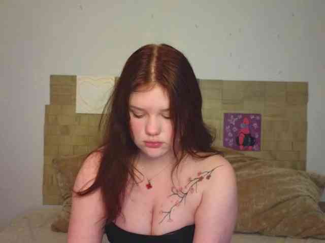 Lasey webcam