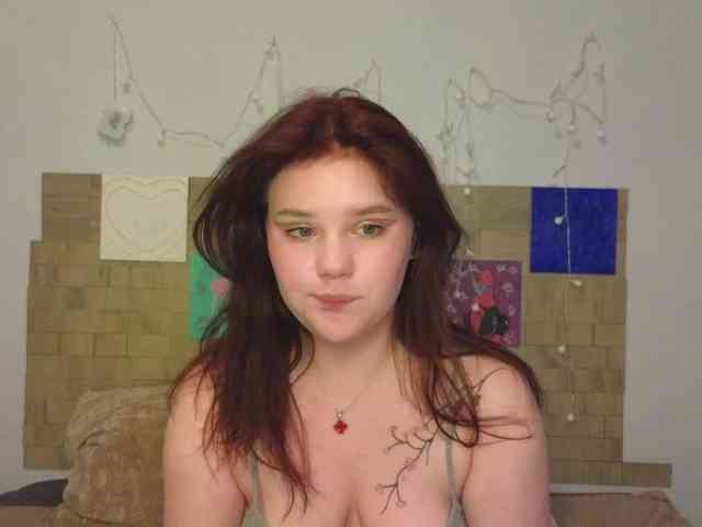 Lasey webcam