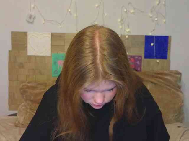 Lasey webcam