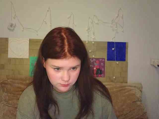 Lasey webcam