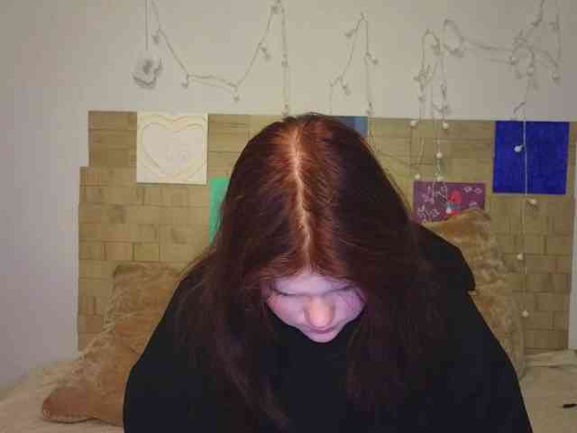 Lasey webcam