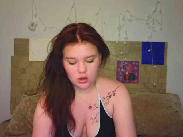 Lasey webcam
