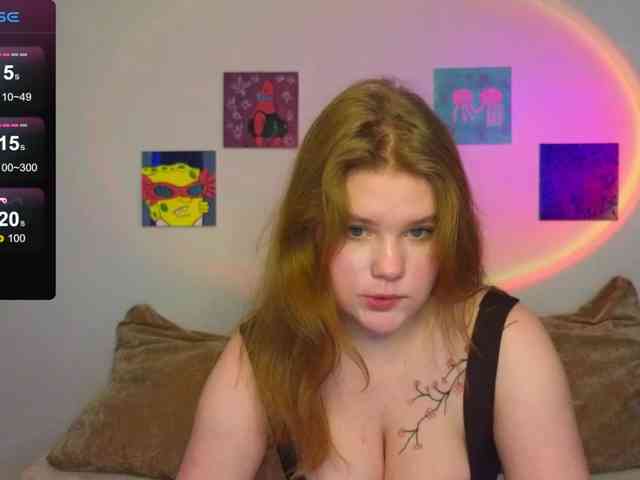 Lasey webcam