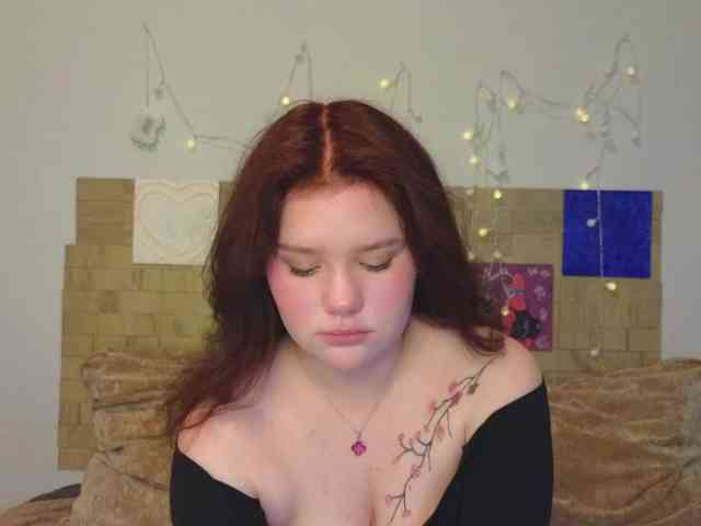 Lasey webcam