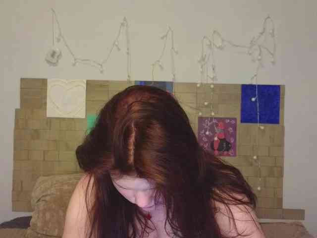 Lasey webcam