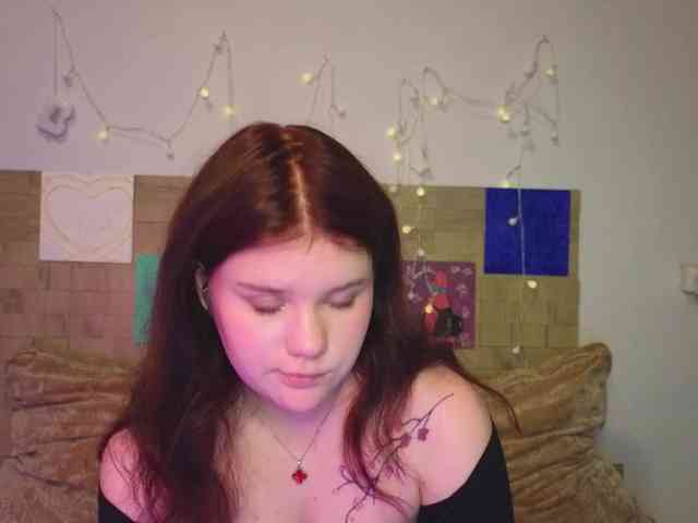 Lasey webcam