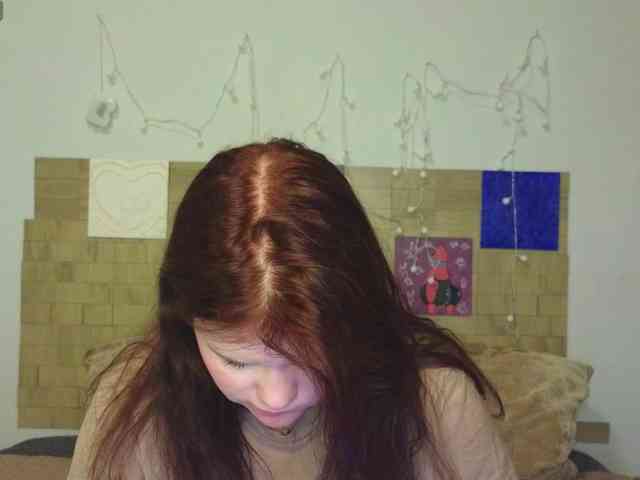 Lasey webcam