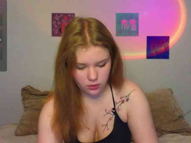 Lasey webcam