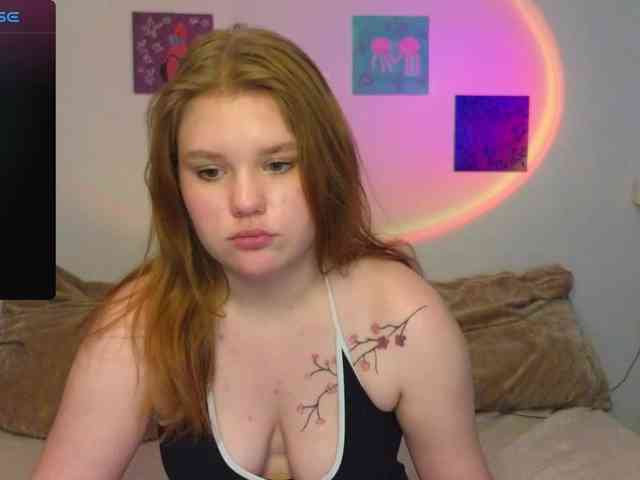 Lasey webcam