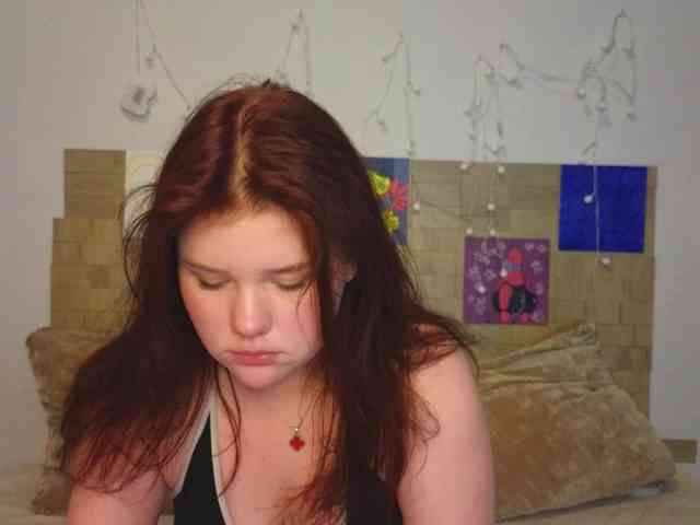 Lasey webcam