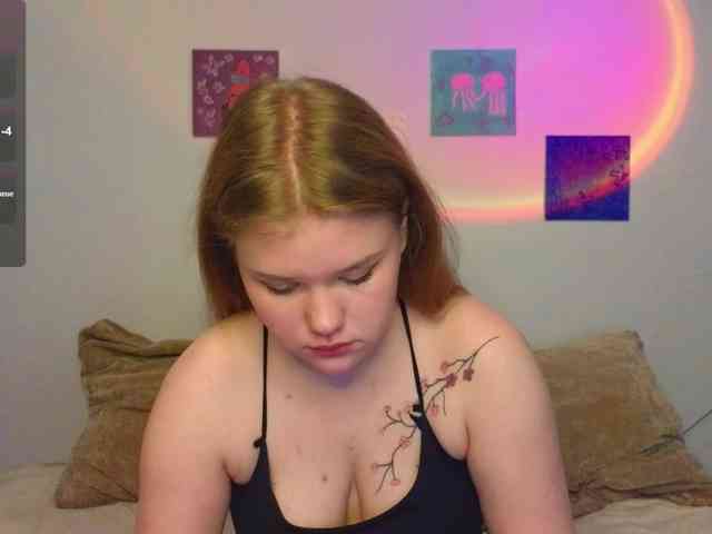 Lasey webcam