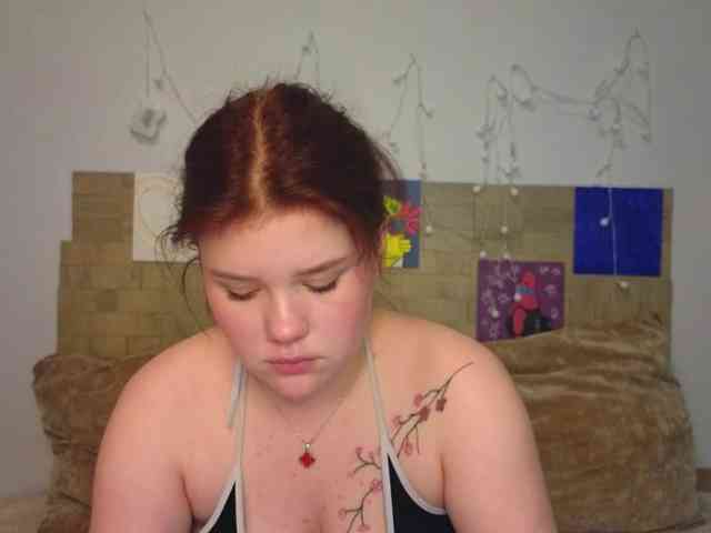 Lasey webcam