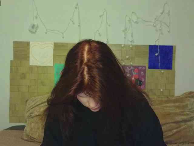 Lasey webcam