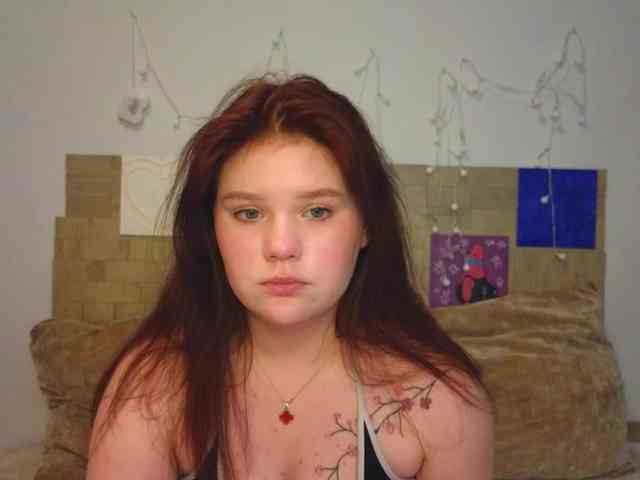 Lasey webcam