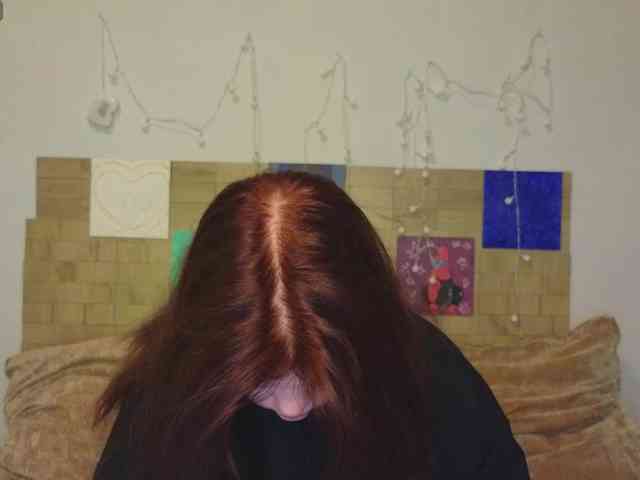 Lasey webcam