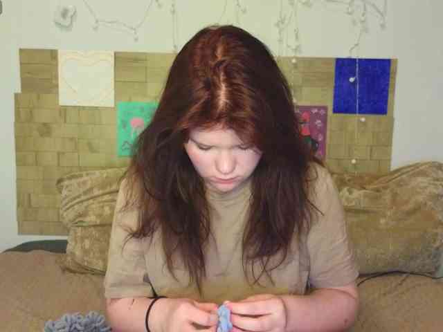 Lasey webcam