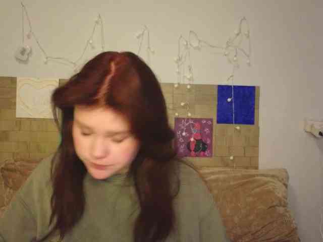 Lasey webcam