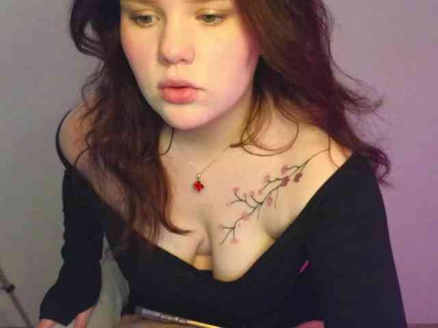 Lasey webcam