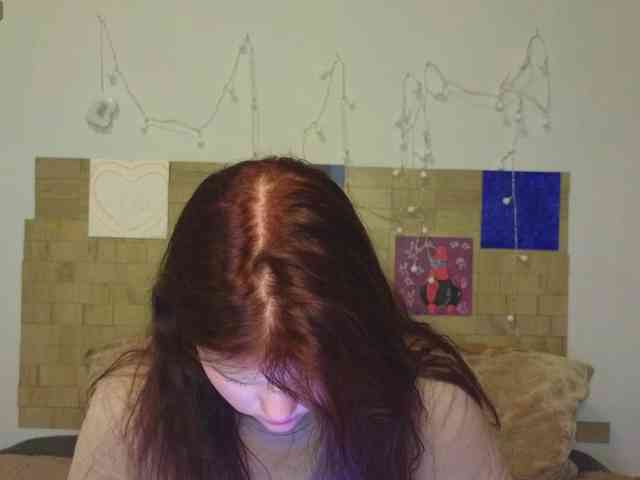 Lasey webcam