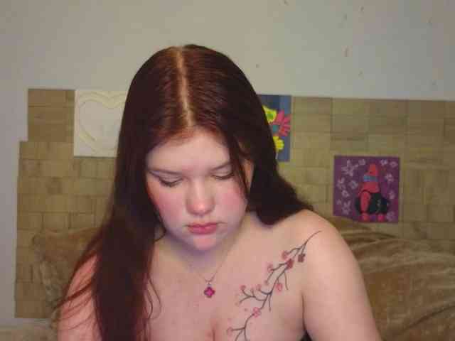 Lasey webcam