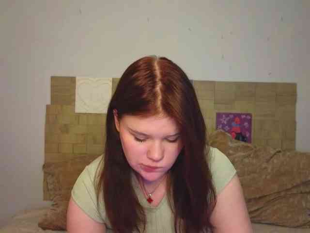 Lasey webcam