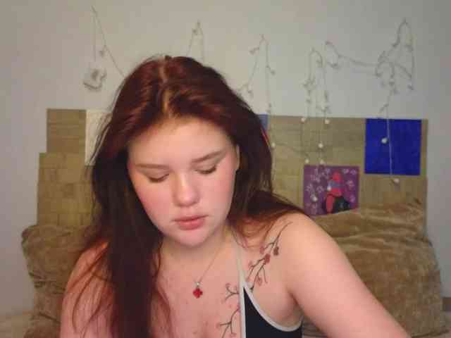 Lasey webcam