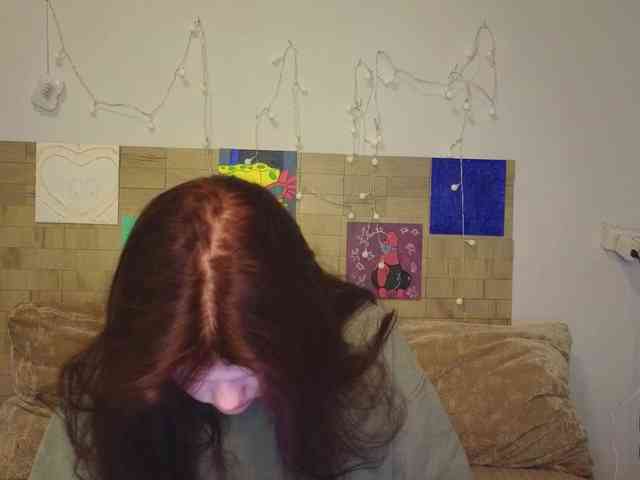 Lasey webcam