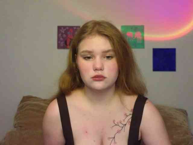 Lasey webcam