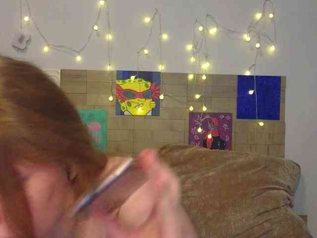 Lasey webcam