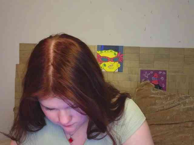 Lasey webcam