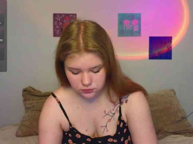 Lasey webcam