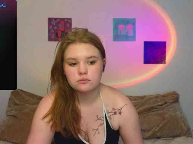 Lasey webcam