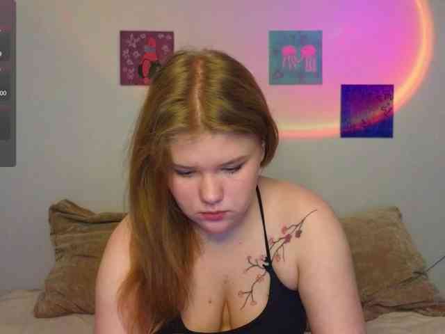 Lasey webcam